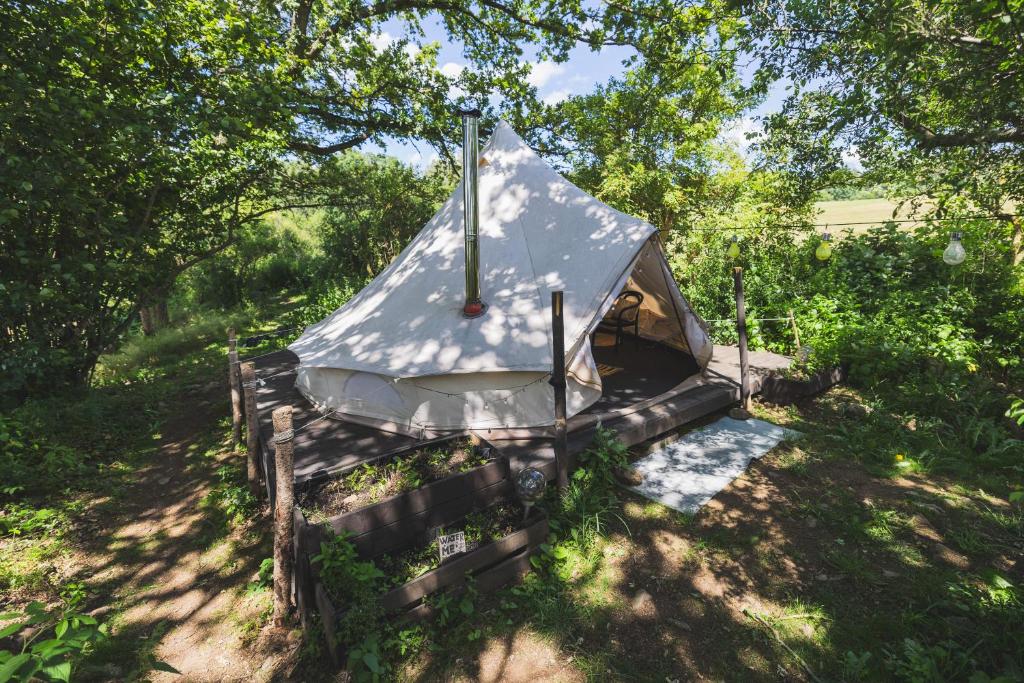 Κήπος έξω από το Glamping Hive