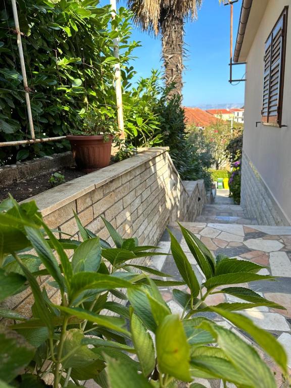 Zahrada ubytování Apartment in Trpanj with terrace, air conditioning, WiFi, washing machine 4199-3