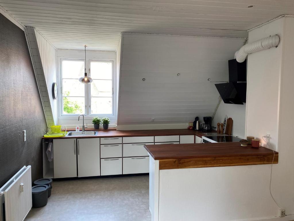 Kuchyň nebo kuchyňský kout v ubytování Den Gamle Vandmølle
