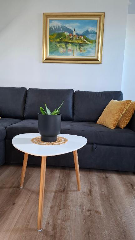 a coffee table with a potted plant on it in front of a couch at Apartma Harmonia with parking in Bled