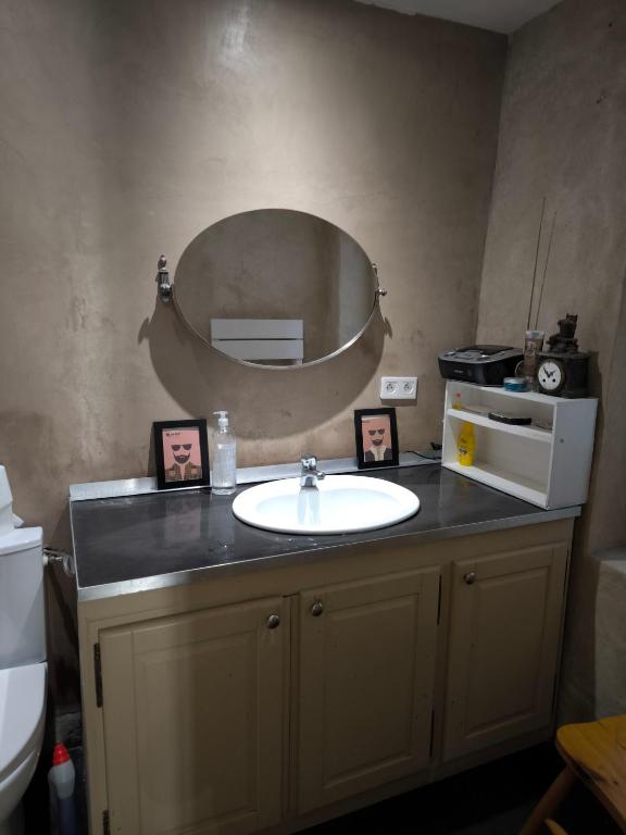une salle de bain avec un lavabo et un miroir dans l'établissement Cosy studio, à Avignon