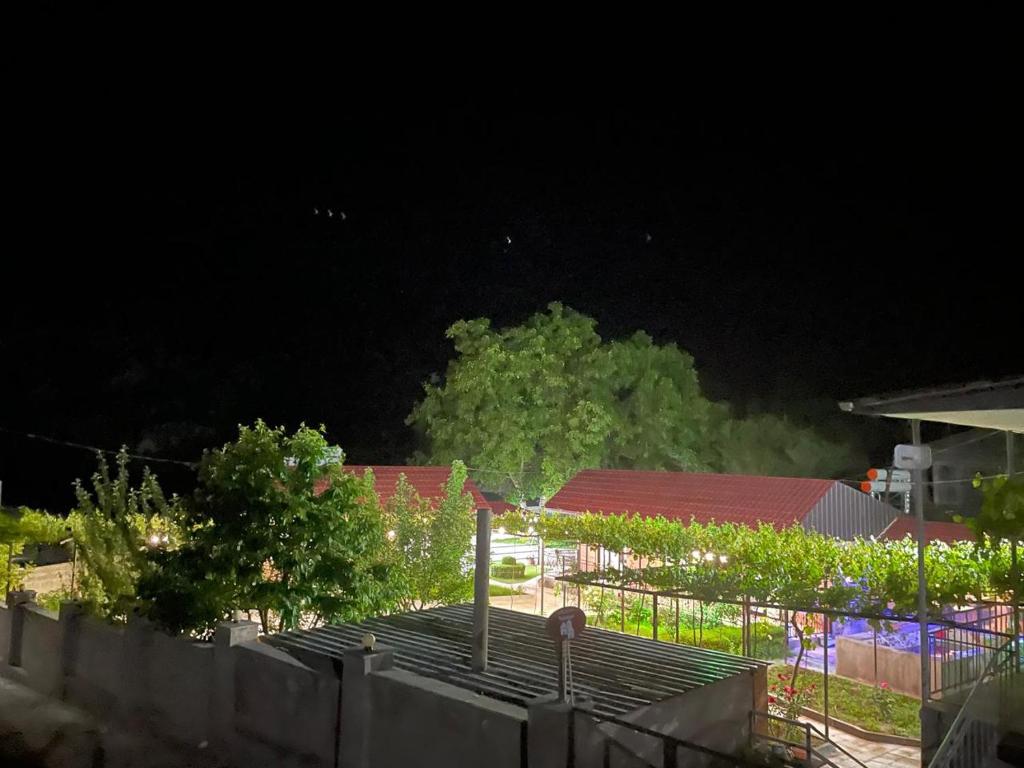 Zahrada ubytování Hotel Tsiskari
