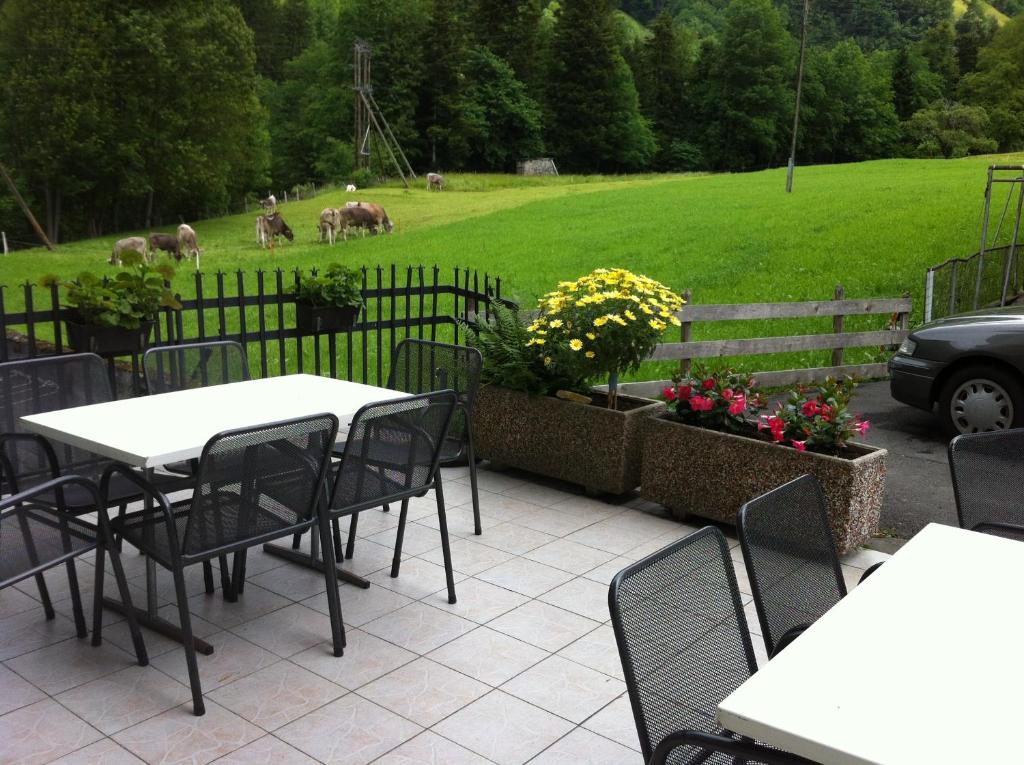 Zahrada ubytování Hotel Waldhof