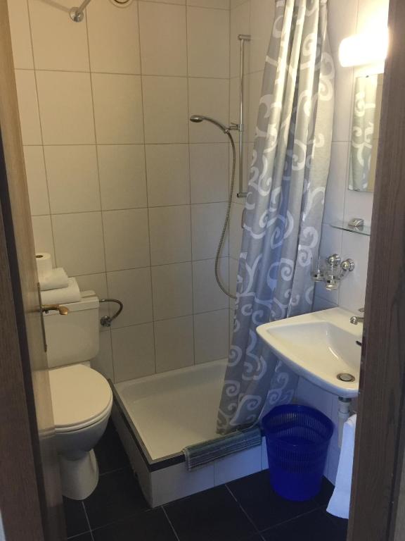 Koupelna v ubytování Hotel Waldhof