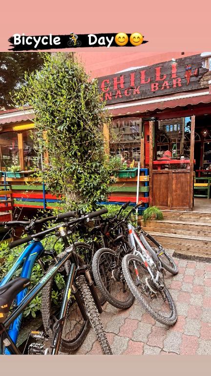 Attività di ciclismo presso l'ostello o nelle vicinanze