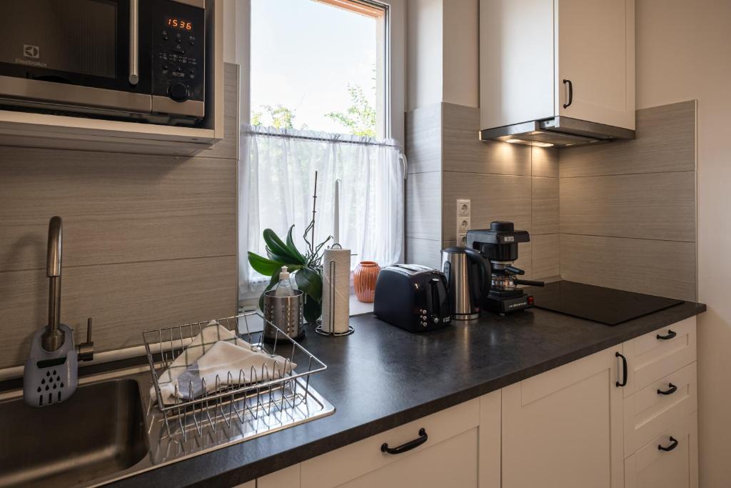 Kuchyň nebo kuchyňský kout v ubytování Aranymandula apartmanok