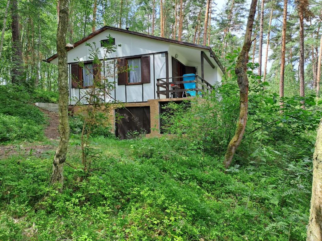 Aed väljaspool majutusasutust Chata Lucie