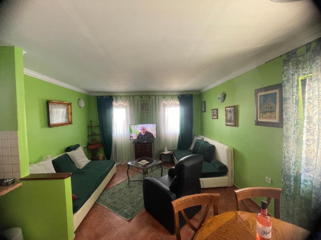 a living room with green walls and a couch and chairs at Apartments Villa Dinka in Opatija