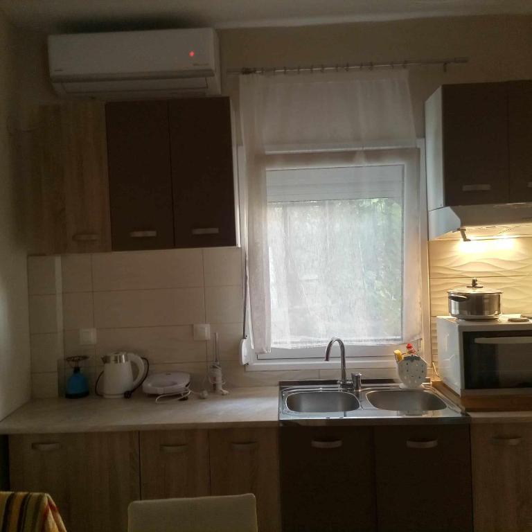 Kuchyň nebo kuchyňský kout v ubytování Fanis Apartments