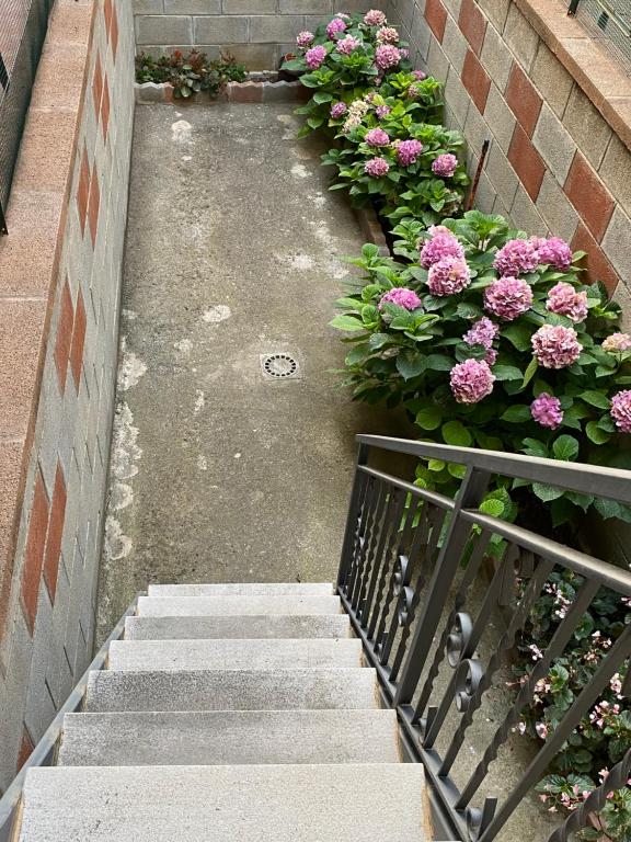 Vonkajšia záhrada v ubytovaní CASA VACANZE AMBRA