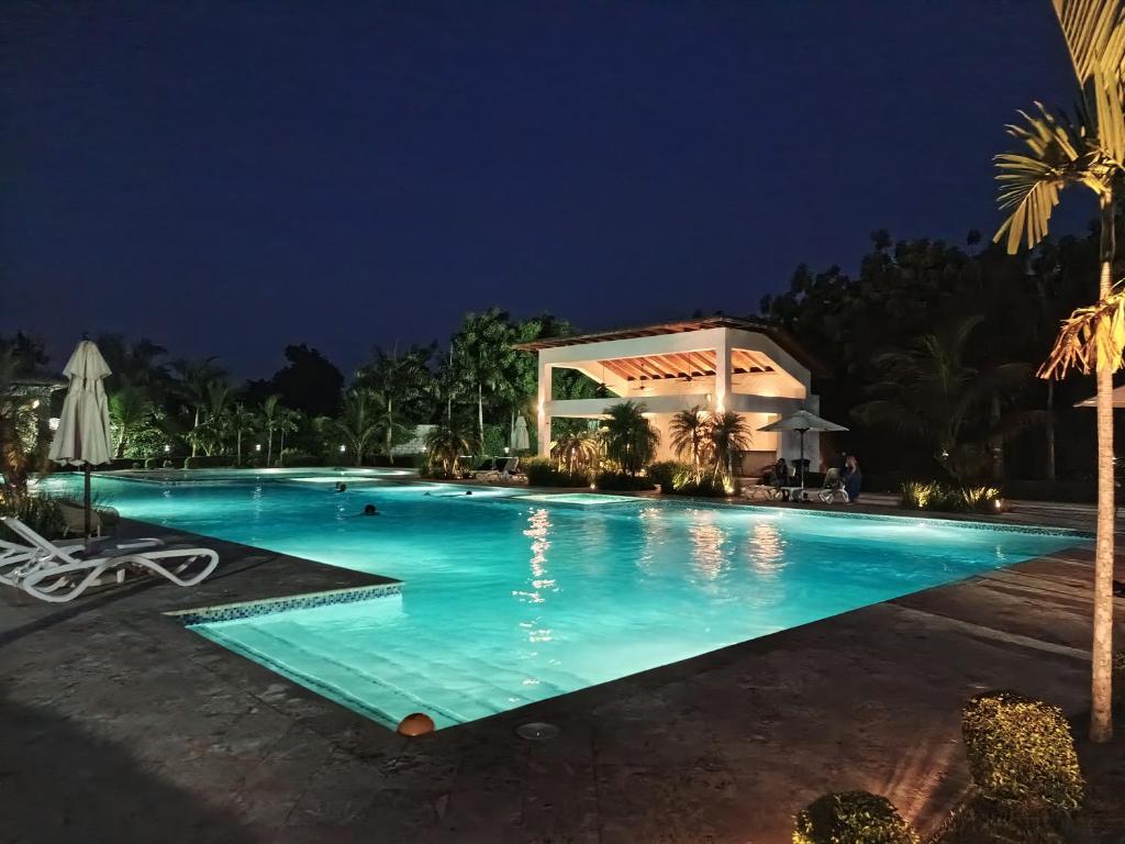 Coral Bistro - Image 4