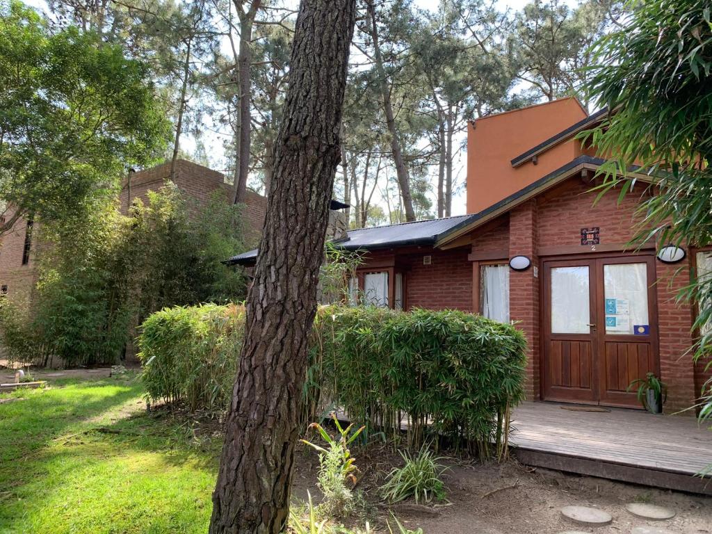 Kimbara Bosque y Mar