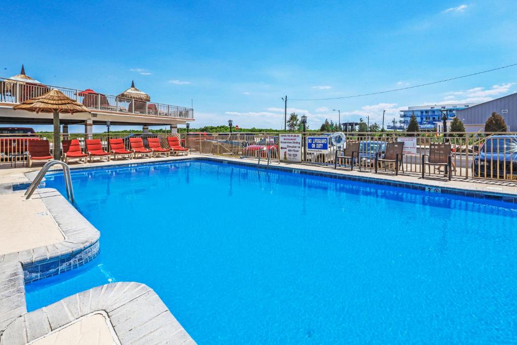 Bazén v ubytování Waikiki Oceanfront Inn nebo v jeho okolí