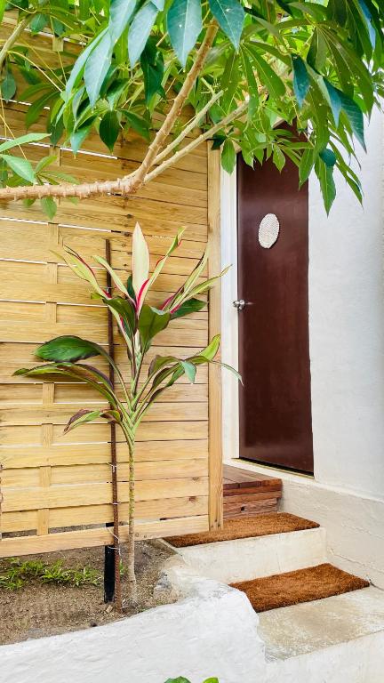 Studio Pā'ihere - Matira - photo 9 - Bora Bora, Polynésie
