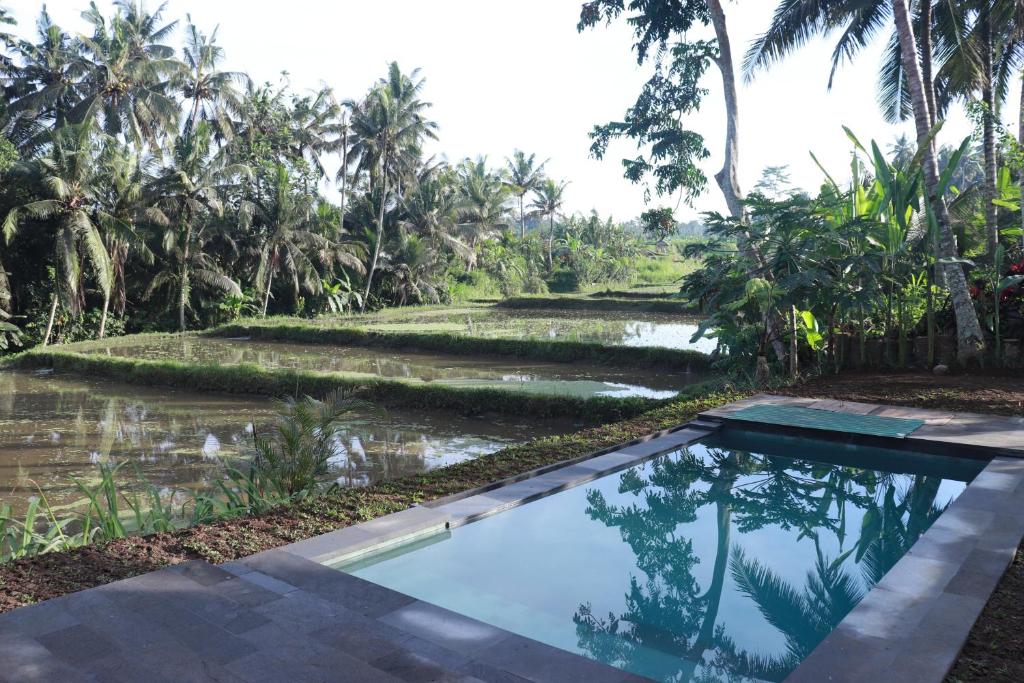 Πισίνα στο ή κοντά στο Pondok Kembar Ubud