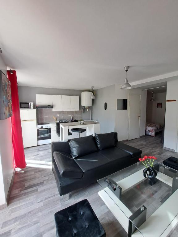 un salon avec un canapé noir et une cuisine dans l'établissement Joli appartement meublé refait à neuf, à Argis