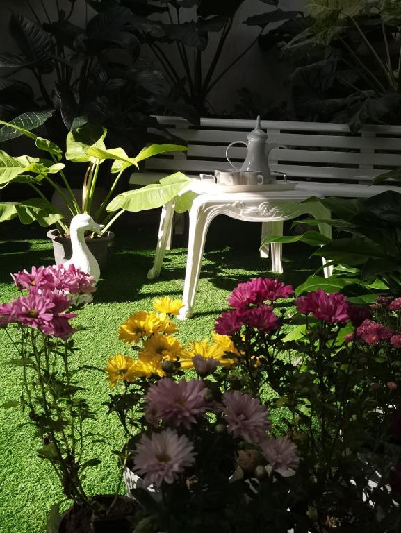 Zahrada ubytování Ella Way Resort