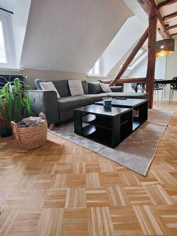 un salon avec un canapé et une table basse dans l'établissement Appartement Le Baroque en duplex, à Mulhouse