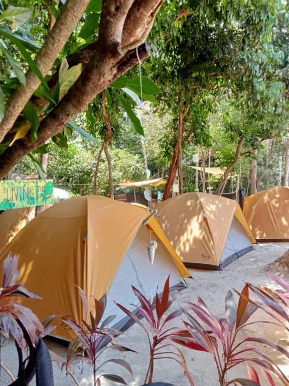 a group of umbrellas sitting on the ground next to trees at Redang Campstay in Redang Island