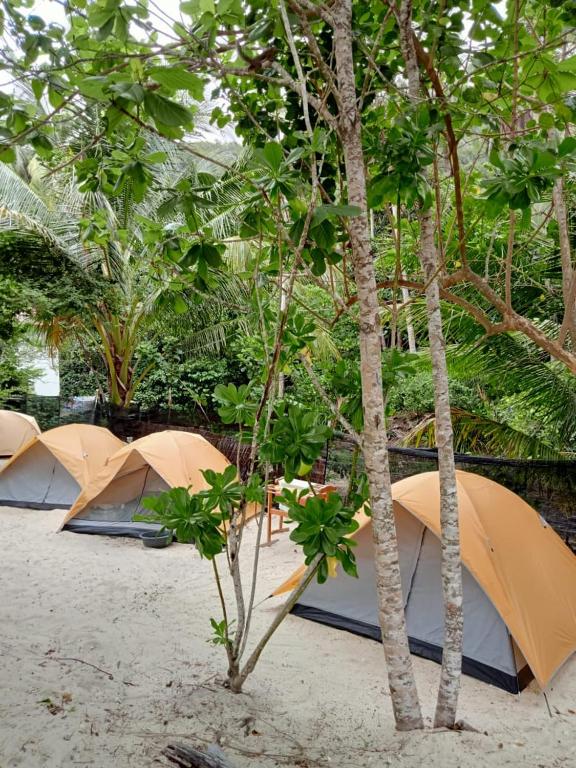 a group of tents on a beach with trees at Redang Campstay in Redang Island