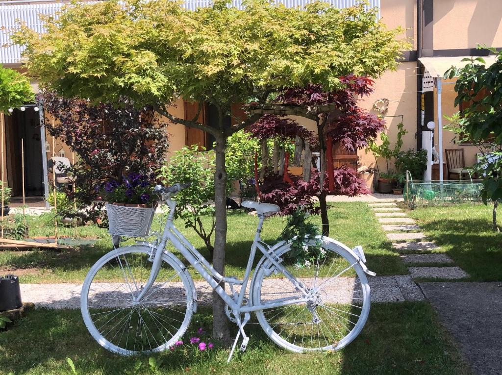 una bicicletta parcheggiata vicino a un albero nell'erba di Sensory Garden a San Daniele del Friuli