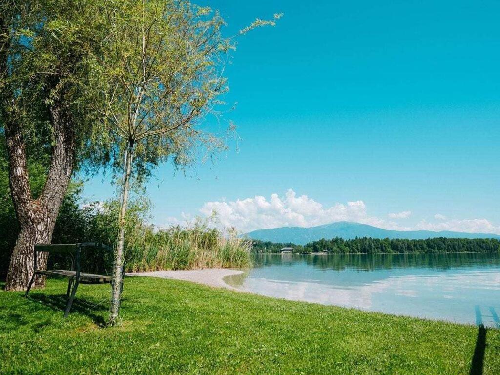 una panchina accanto a un albero accanto a un lago di 1 at Lake Faak - Karglhof - South view a Faak am See