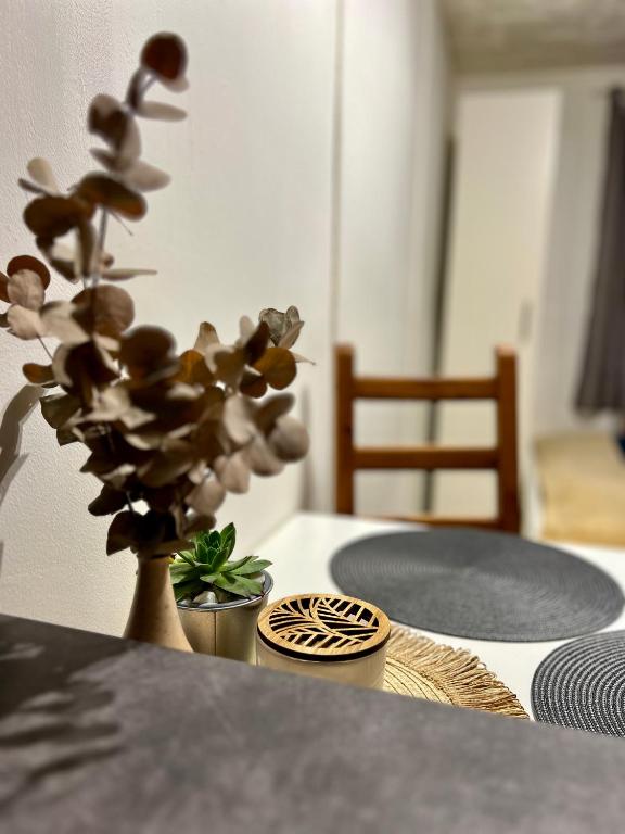 Fotografie z fotogalerie ubytování Chatky na Rozkoši - Radek v Náchodě