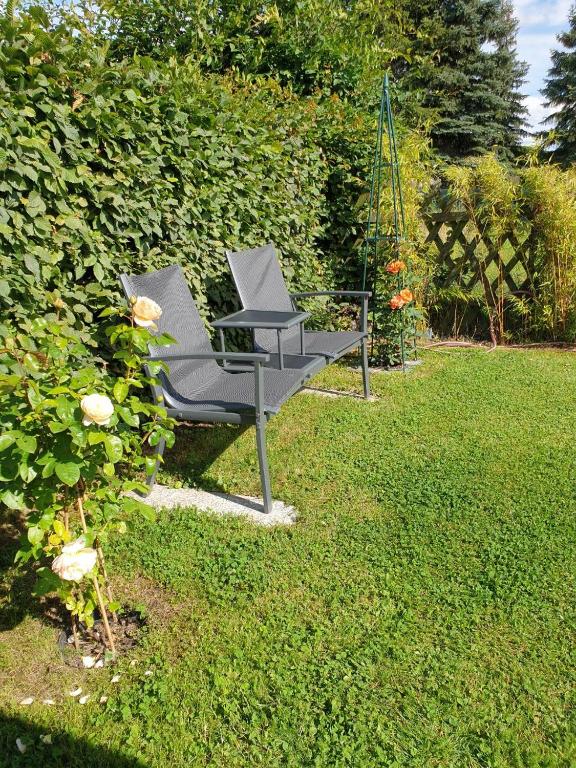 Zahrada ubytování Pension Weitblick