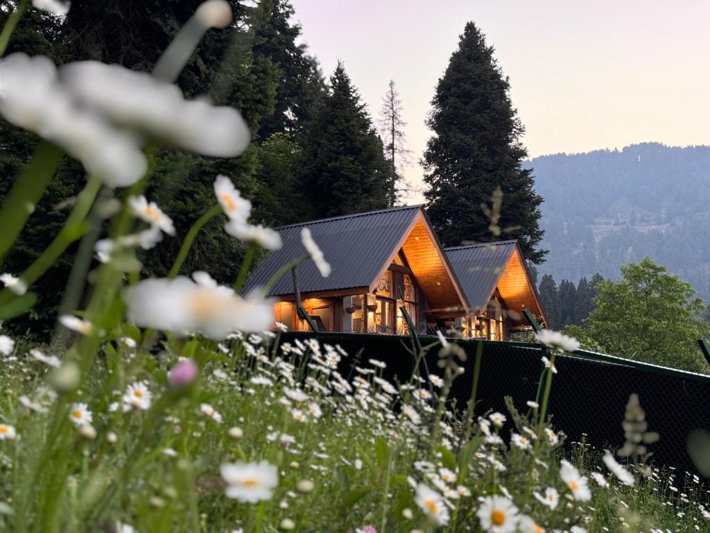 Cảnh núi rừng hoặc tầm nhìn ra núi từ biệt thự