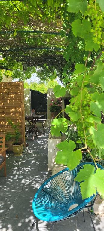 Zahrada ubytování Location appartement dans mas provençal
