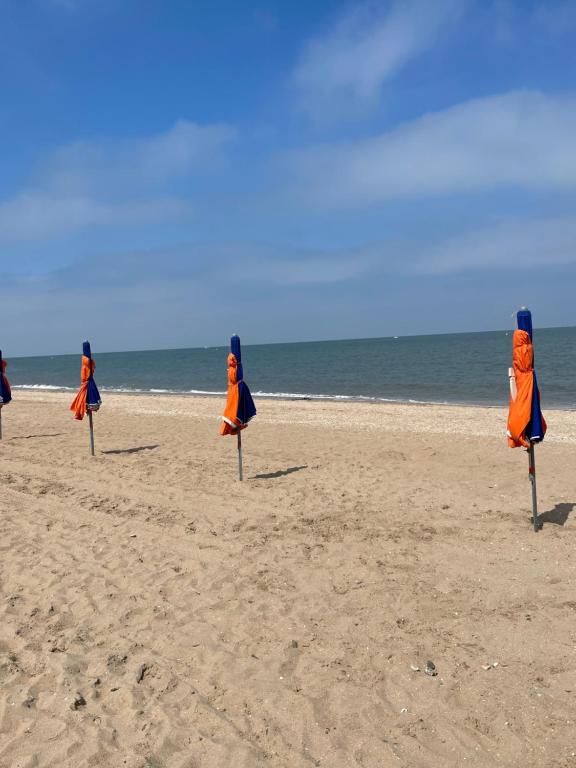 - un groupe de parasols assis sur la plage dans l'établissement Du côté de chez, à Houlgate
