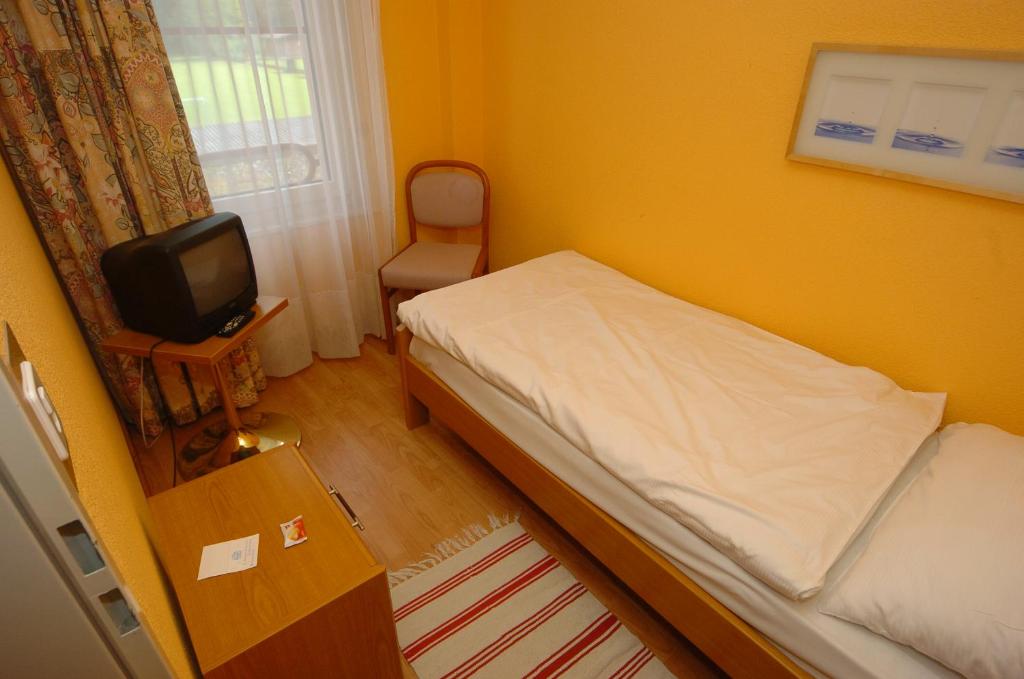 TV a/nebo společenská místnost v ubytování Hotel Le Cedre
