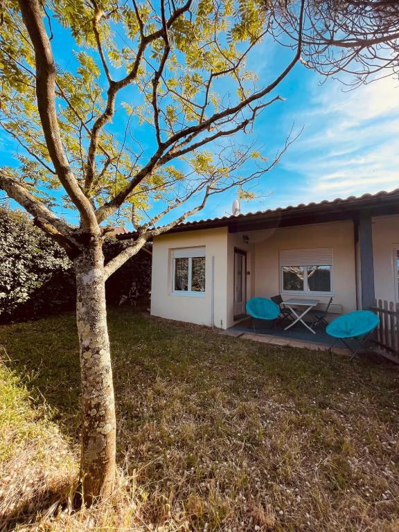 une maison avec un arbre devant dans l'établissement L'Echo des Vagues, à Vieux-Boucau-les-Bains
