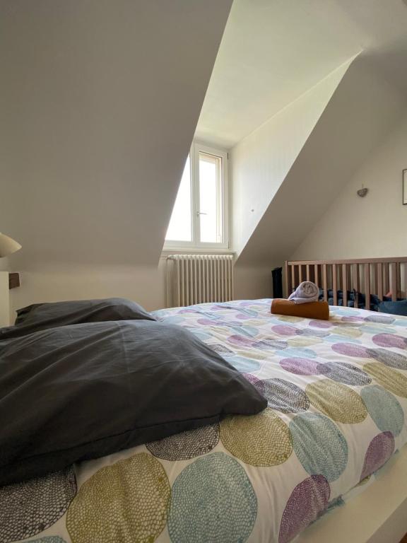 BookingAlsace - Maison Mittelharth Parking Jardin – photo 41