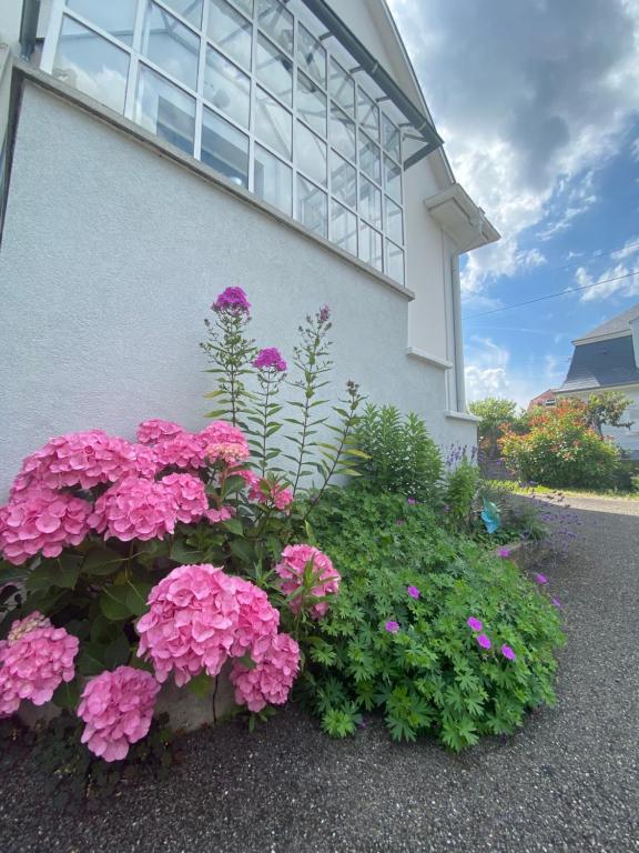 BookingAlsace - Maison Mittelharth Parking Jardin – photo 43