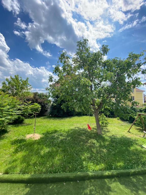 BookingAlsace - Maison Mittelharth Parking Jardin – photo 49