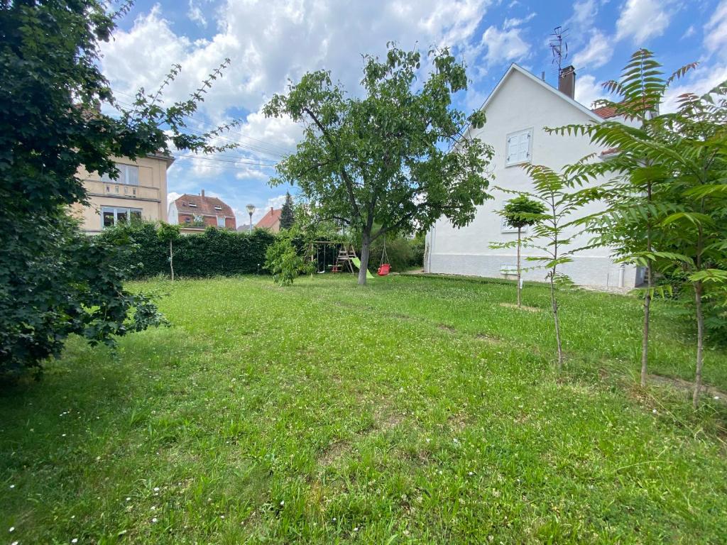BookingAlsace - Maison Mittelharth Parking Jardin – photo 46