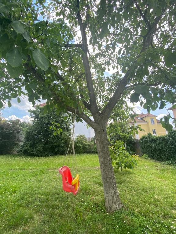 BookingAlsace - Maison Mittelharth Parking Jardin – photo 47