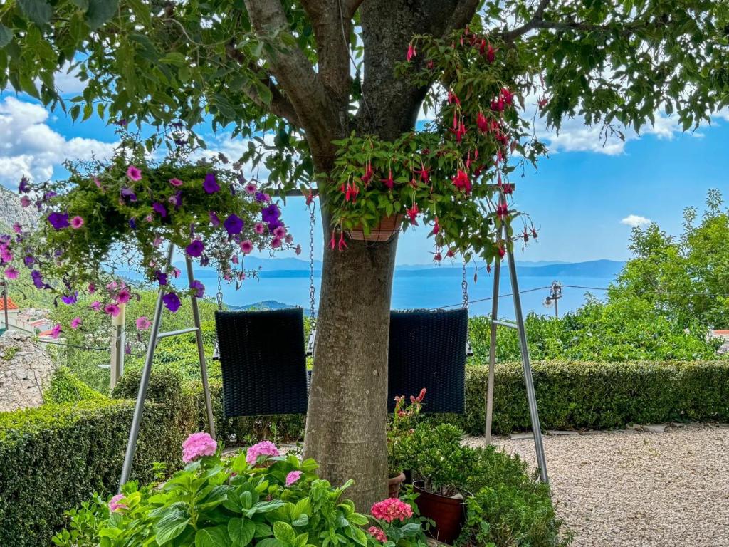 Apartments Bella Vista - Appartamento Con 2 Camere Da Letto