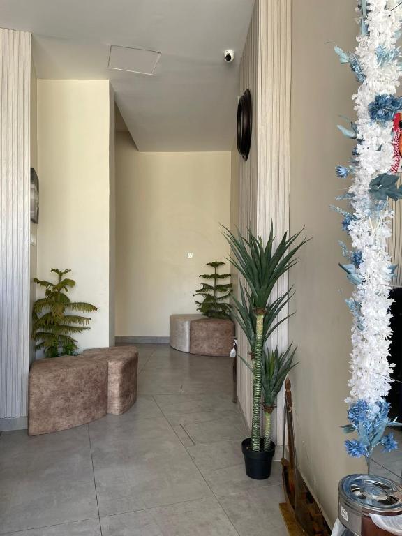 Fotografie z fotogalerie ubytování Aladnan hotel v destinaci Aqaba
