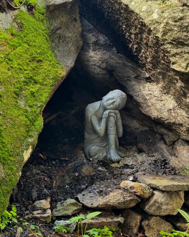 Fotografie z fotogalerie ubytování Sentiero Verde B&B v destinaci Formazza