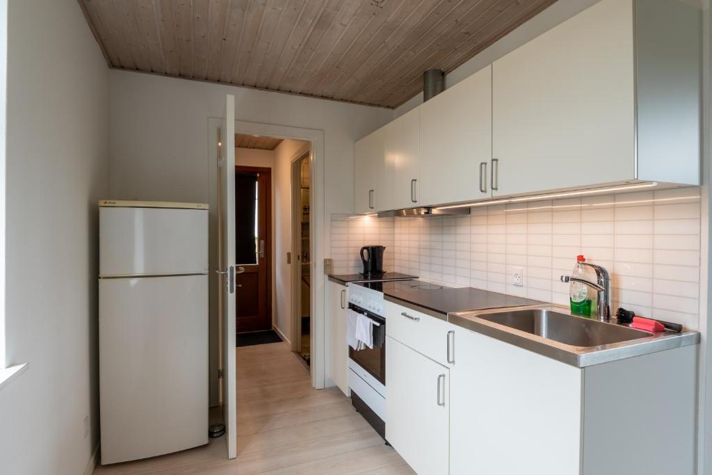 Kuchyň nebo kuchyňský kout v ubytování Little studio house