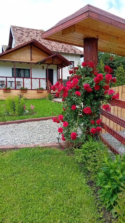 Zahrada ubytování Baltina Parc Transfagarasan