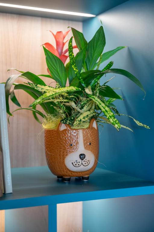 Bleis Hotel - Resim 31