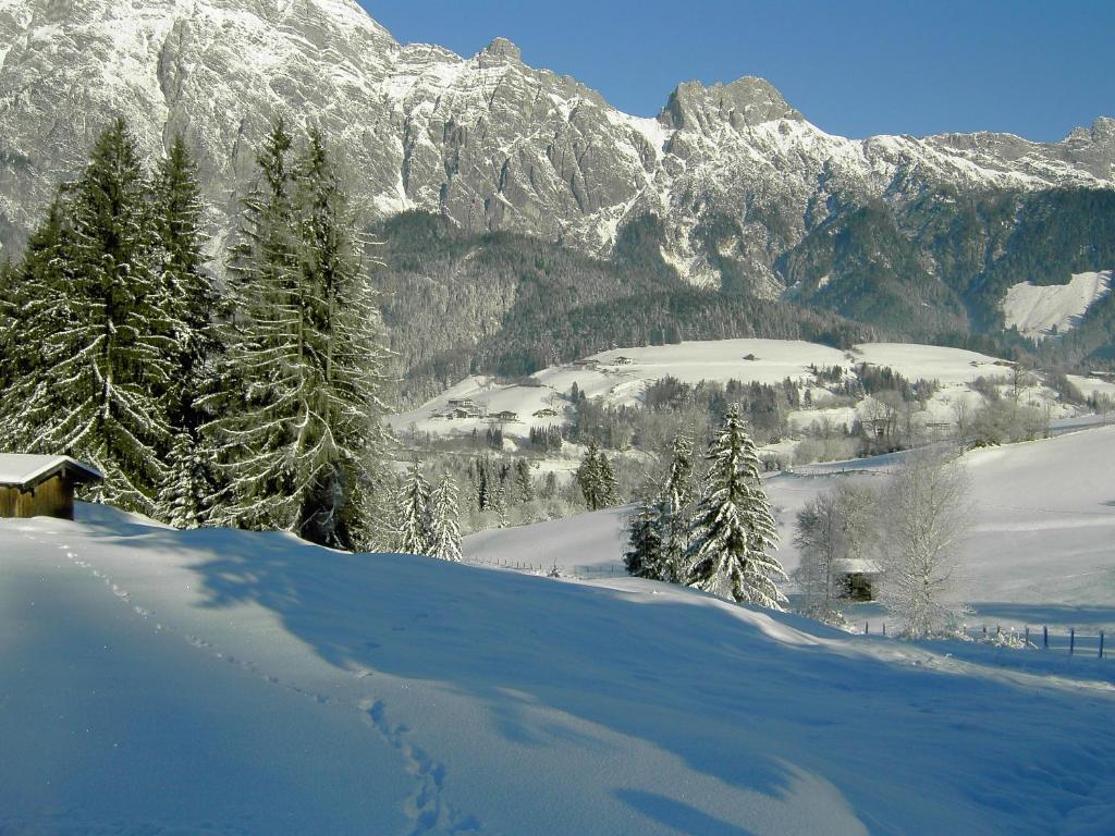 Appartementhaus Salzmann v zimě