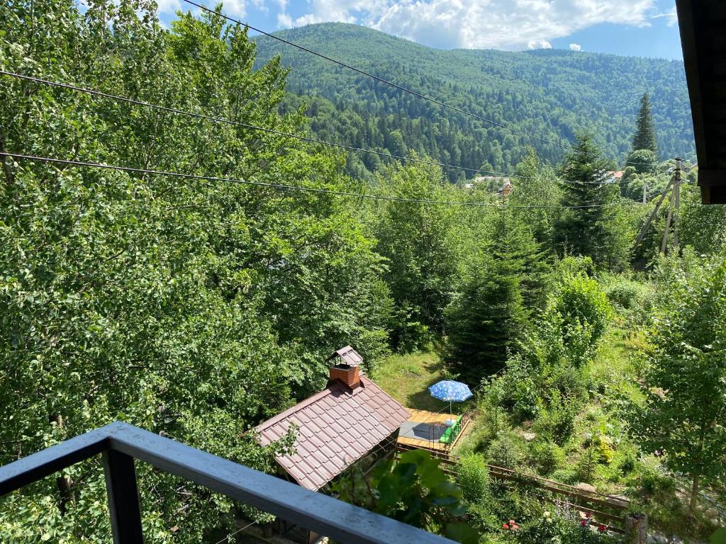 Příroda nedaleko hotelu