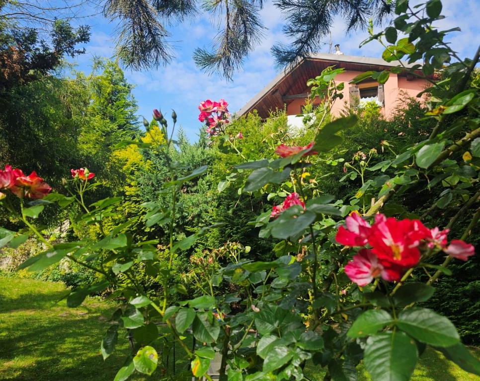 Park Apartment - Double Room With Garden View