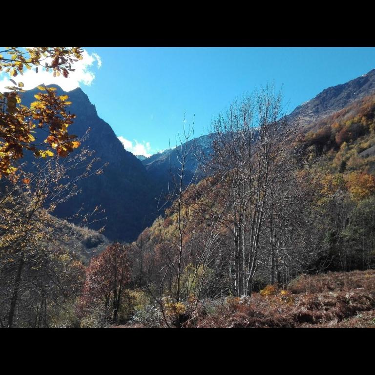 une vue sur une vallée avec des arbres et des montagnes dans l'établissement Agréable maison dans un beau village de montagne, à Siguer