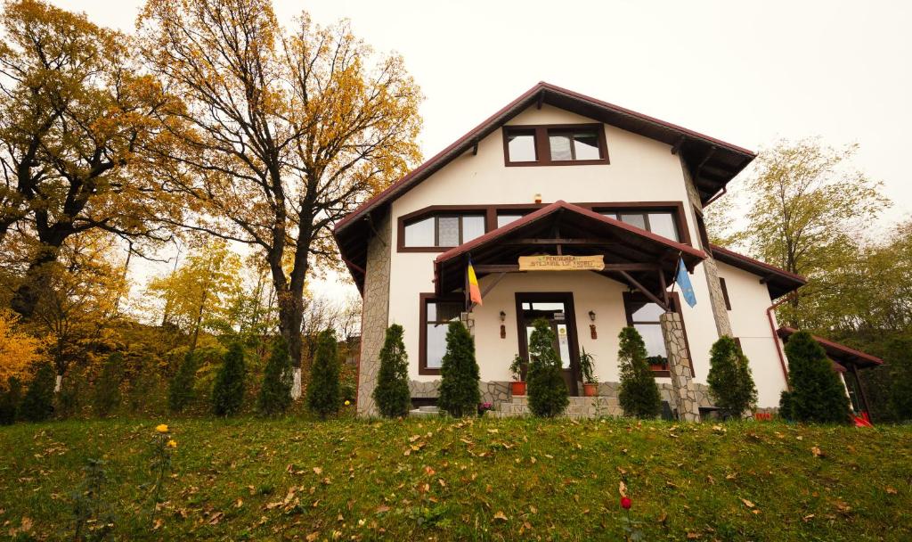 Zahrada ubytování Casa Stejarul Lui Andrei
