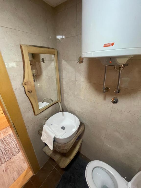a bathroom with a toilet and a sink and a mirror at Brvnare Sekulic in Sekulić 